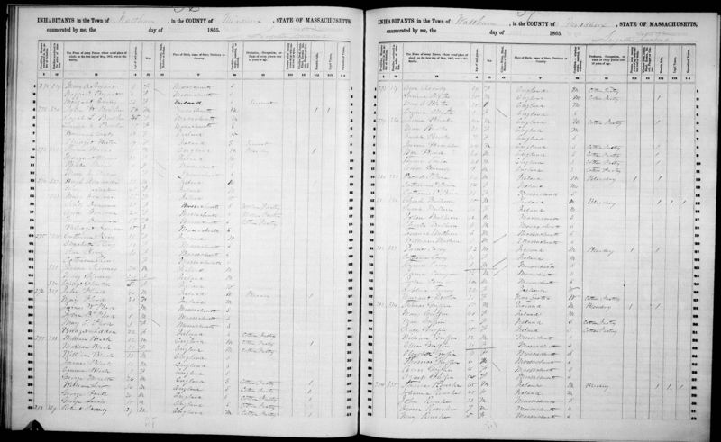 File:Massachusetts State Census, 1865, Waltham, Middlesex, page 21 of 86.jpg