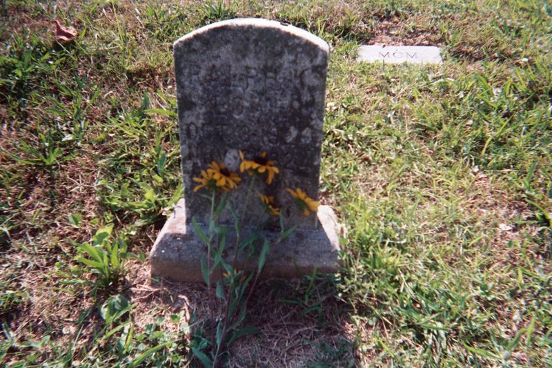 File:Ralph K. Lowe Headstone with flowers.jpg