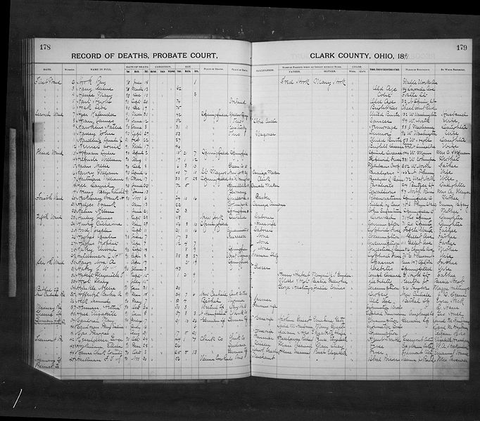 File:Ohio, County Death Records, 1840-2001, Clark, Death records, 1867-1902, image 325 of 601.jpg