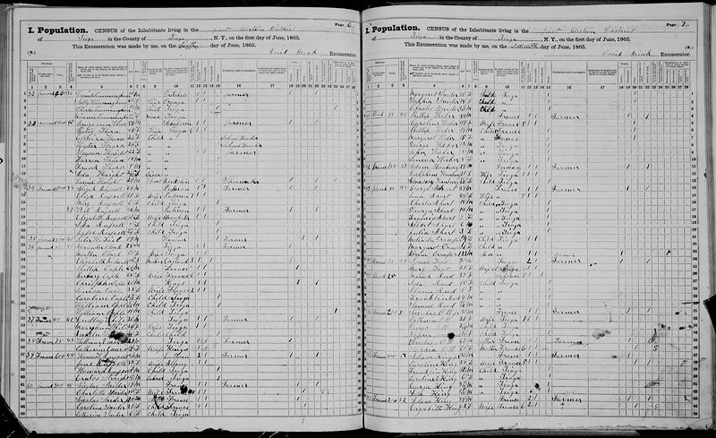 File:New York, State Census, 1865, District 01, Tioga, Tioga, page 5 of 37.jpg