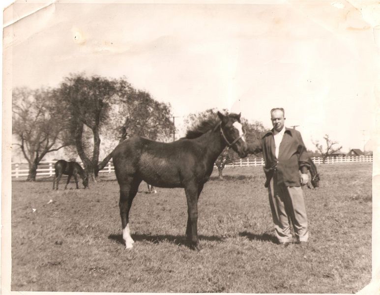 File:Thomas Gallinger and Horse.jpg