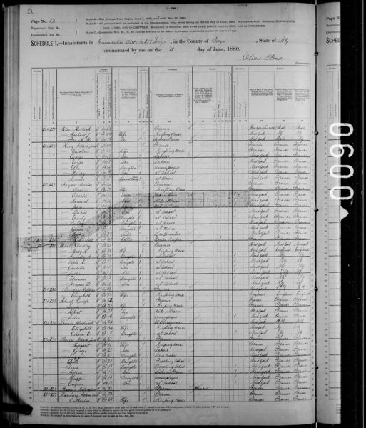 File:1880 U.S. Census - ED 219, Tioga, Tioga, New York, Page 22 of 25.jpg