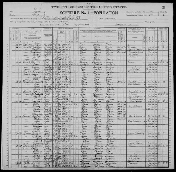 File:1900 U.S. Census - ED 72 Justice Precinct 1, Hays, Texas, page 12 of 26.jpg
